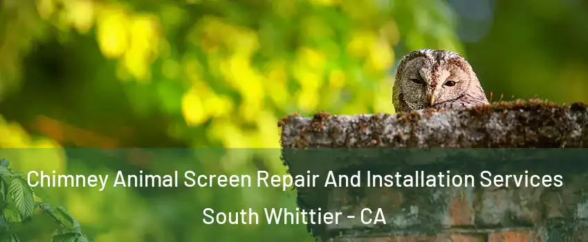  Chimney Animal Screen Repair And Installation Services South Whittier - CA