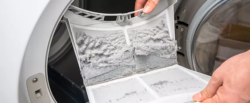 Best Dryer Lint Removal Company in South Whittier, California