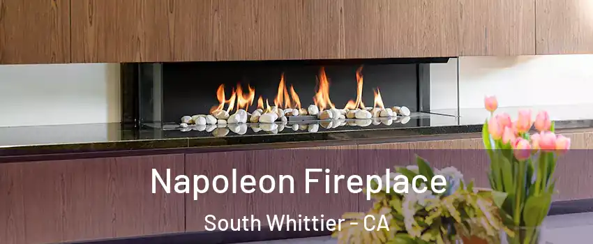  Napoleon Fireplace South Whittier - CA